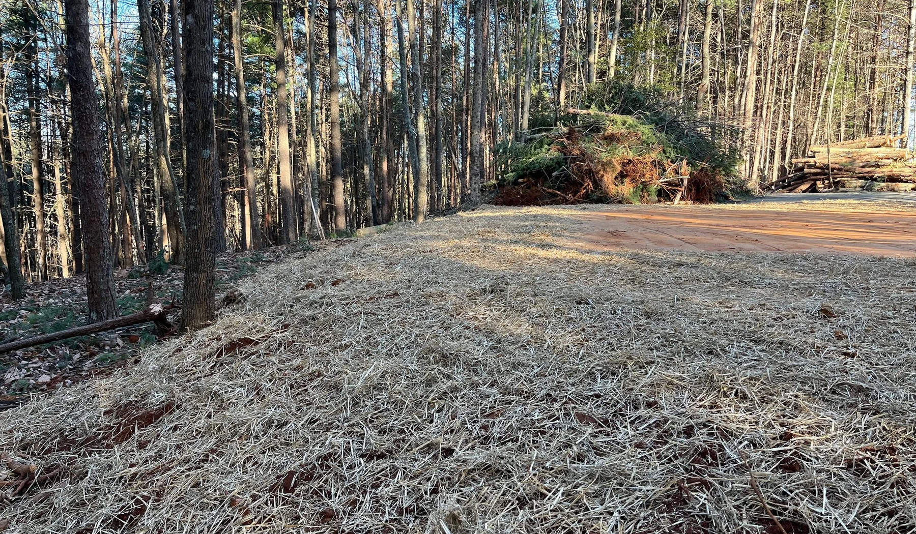 Tracked equipment removing brush and woody debris in Cherokee County Georgia