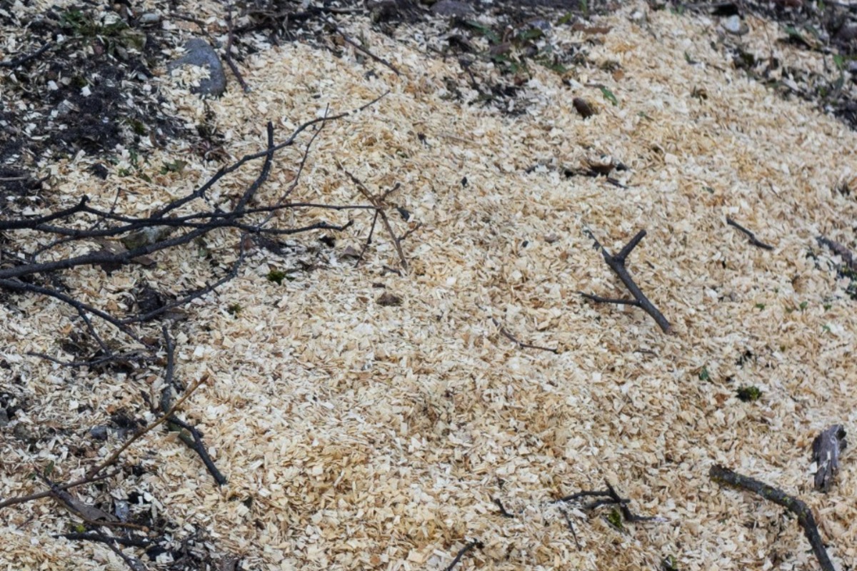 Stump grinding debris cleanup in a Cherokee County residential yard