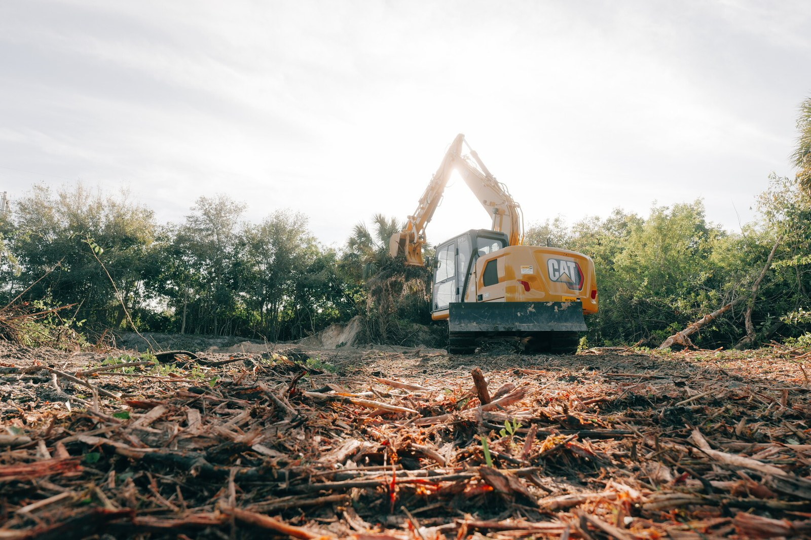 Land clearing equipment clearing a lot
