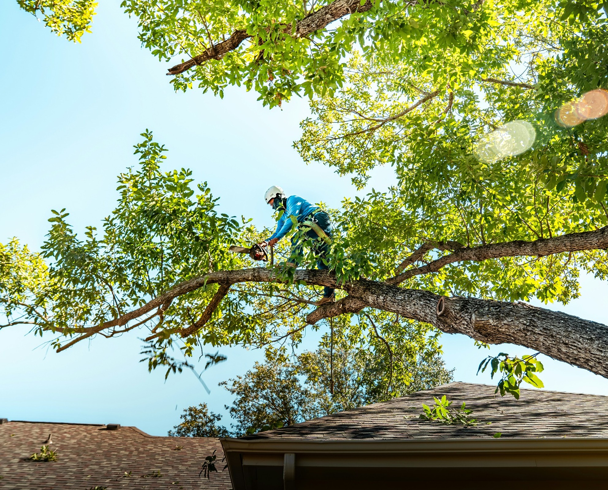 Tight access emergency tree service near a Cherokee County home