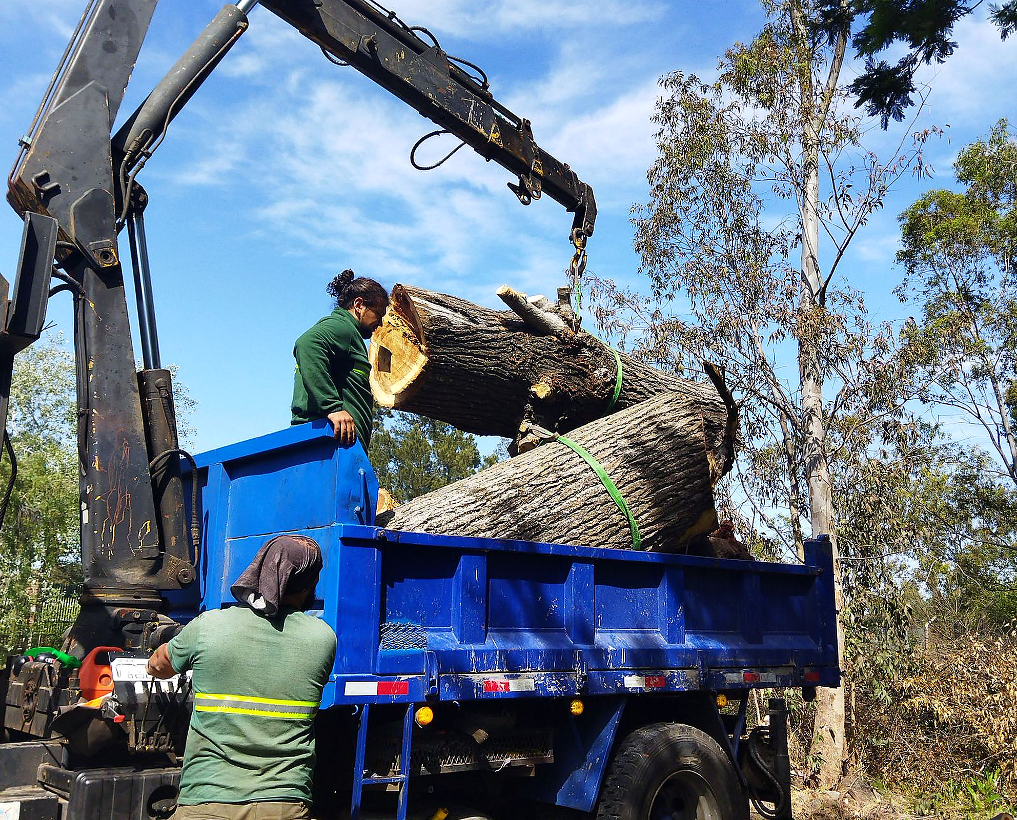 Emergency tree service debris cleanup and hauling in Cherokee County
