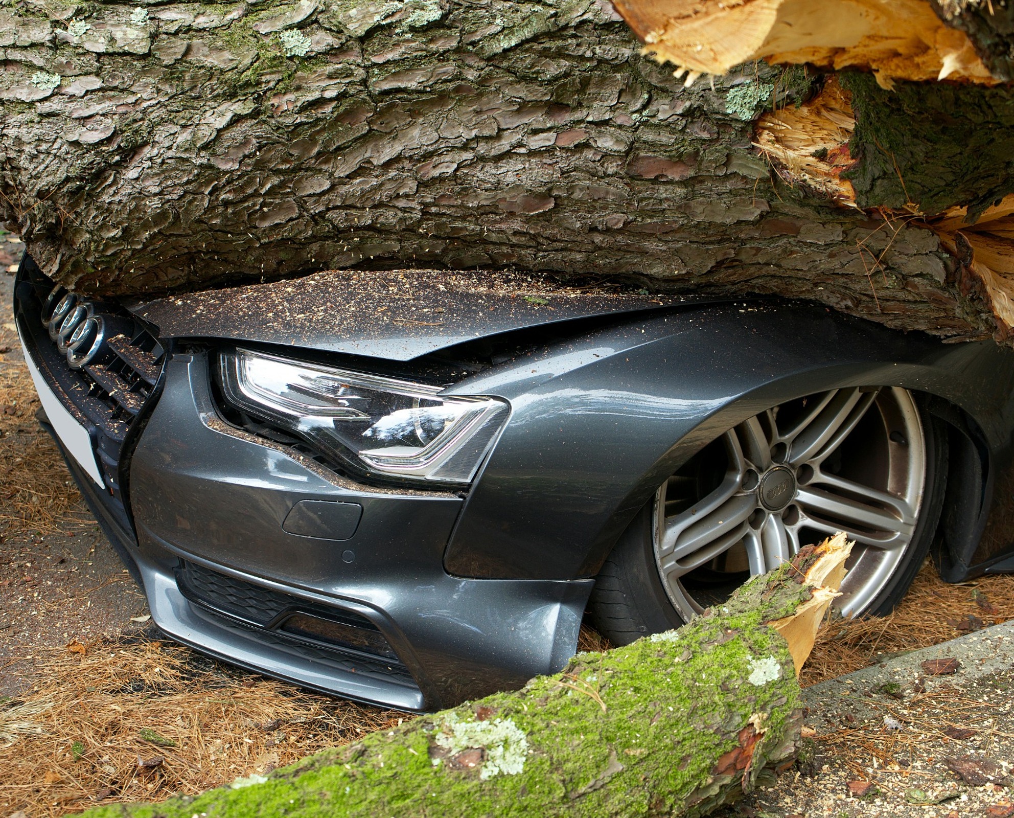 Hazardous storm damaged emergency tree service in Cherokee County GA