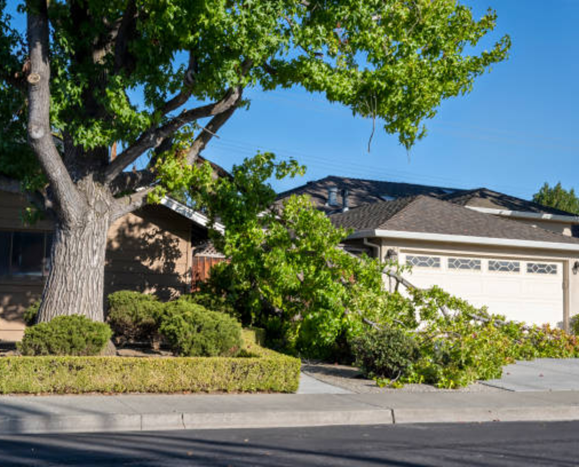 Residential emergency tree service in Cherokee County, Georgia